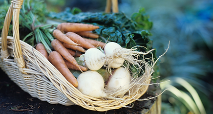 Le panier de légumes