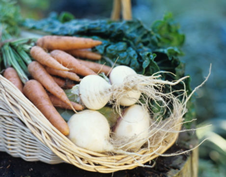 Vegetable Basket