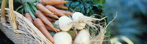 dietetique dieteticienne nutrition nutritionniste maigrir paris 18eme poids alimentation saine