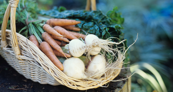 Vegetable Basket