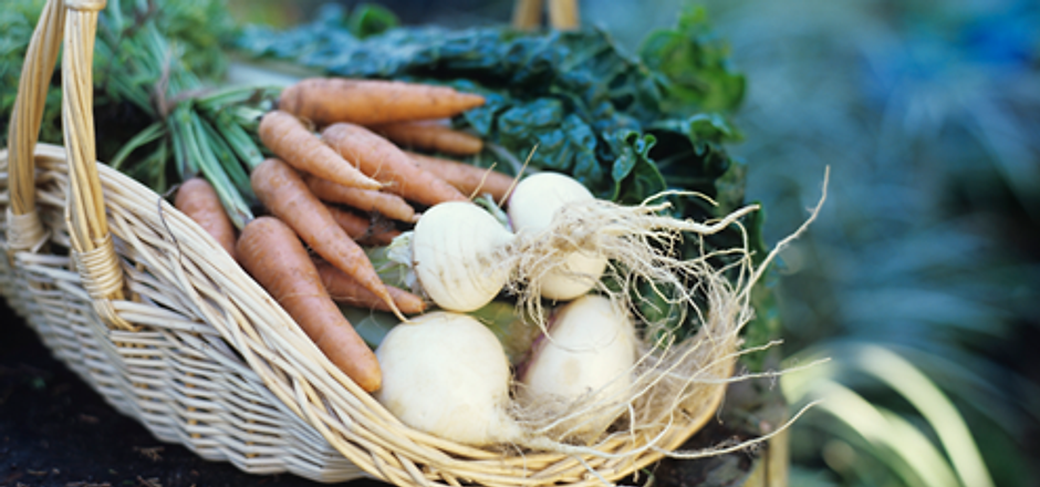 Vegetable Basket