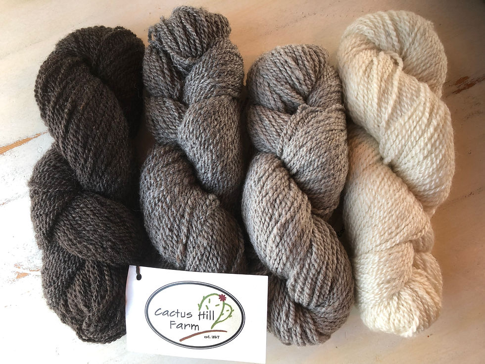 Thumbnail: Cactus Hill CVM/Wensleydale