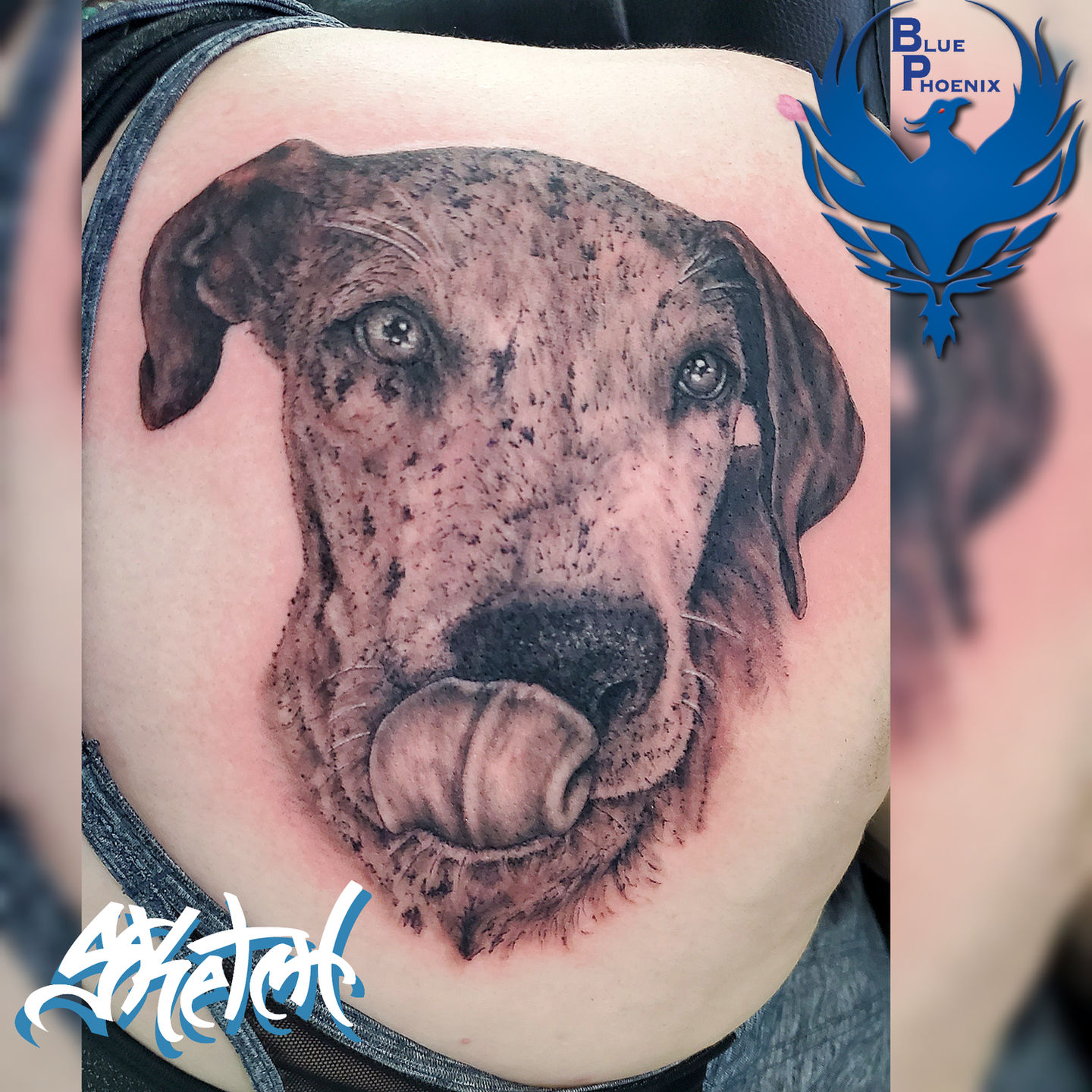 inCollage_20200815_090559614