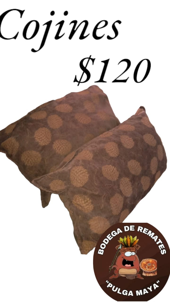 Cojín