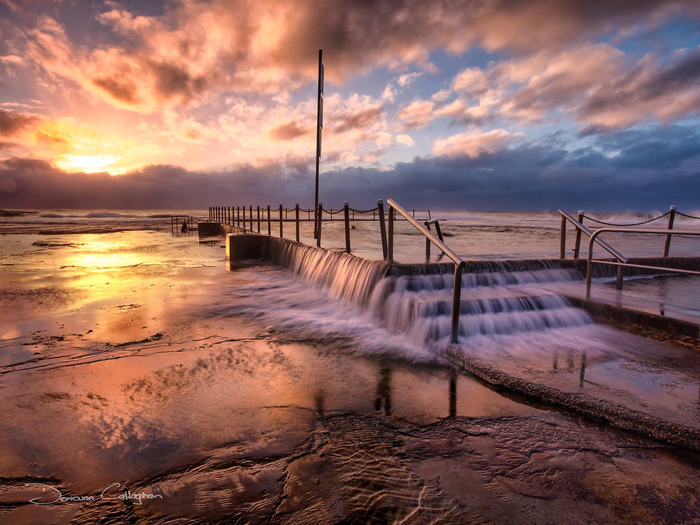 Mona Vale Pool sunrise Landscape Photography