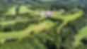 drone view of pw .jpeg