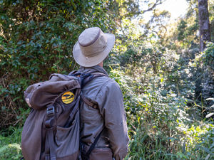 What a Walking Safari Feels Like Compared to a Game Drive