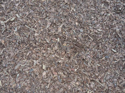 Medium Shredded Bark