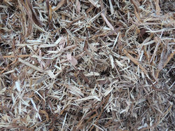 Shredded Cedar Shavings