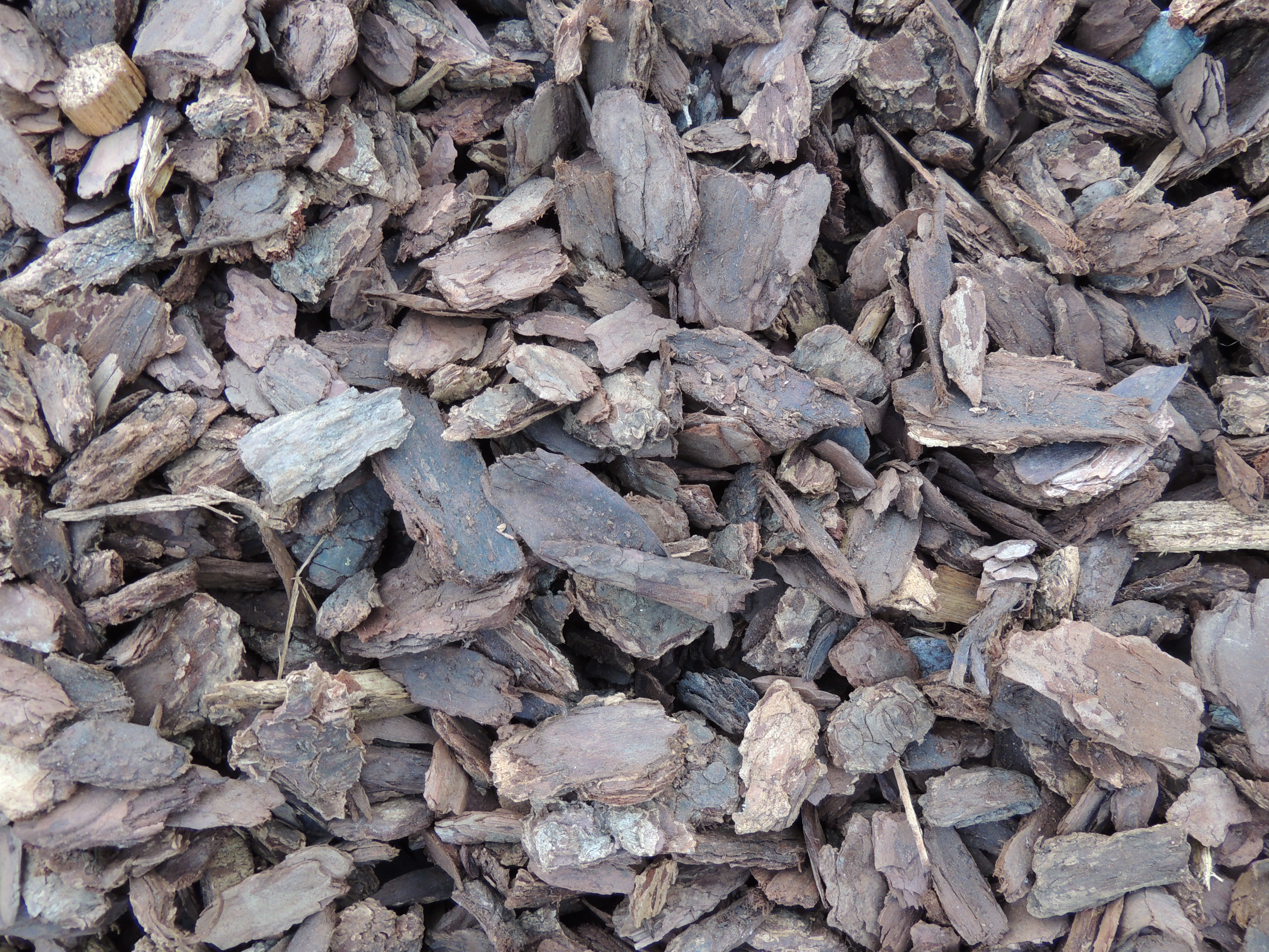 Annie's Orchard Clark Fork Landscape Bark