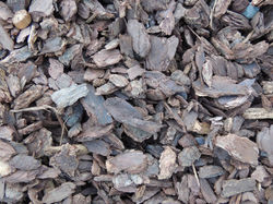 Medium Decorative Bark Nugget