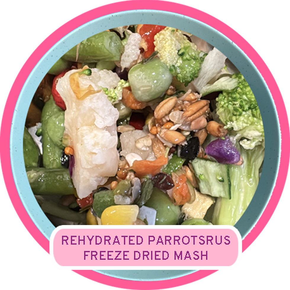 Rehydrated Parrotsrus Freeze Dried Mash