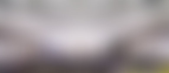 โรงเรียนสตรีพัทลุง โครงการประจำปี ๒๕๖๗