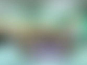 โรงเรียนม่วงไข่พิทยาคม ปีการศึกษา ๒๕๖๕