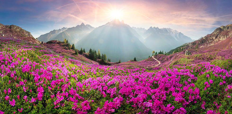 AdobeStock_260823013.jpeg