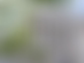 Beyond the Label: The Supreme Court Weighs In on What’s Natural