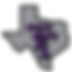 Tx Thunderstix.jpeg