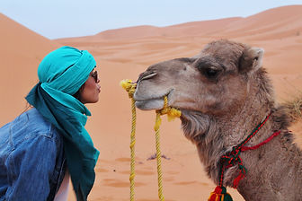wadi rum camel