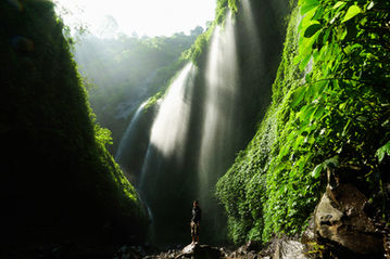 A tour journey to Madakaripura, The 20–30 minute hike to the waterfall, which passes through verdant forests, little streams, and sheer canyon walls, is an adventure in and of itself.