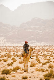 camel ride jordan