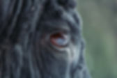 AdobeStock_247282926.jpeg