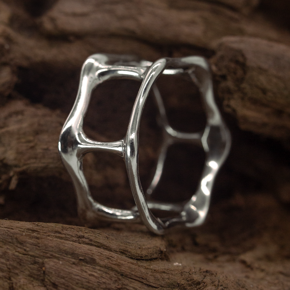 Evo Ring in polished 925 Sterling Silver, side view