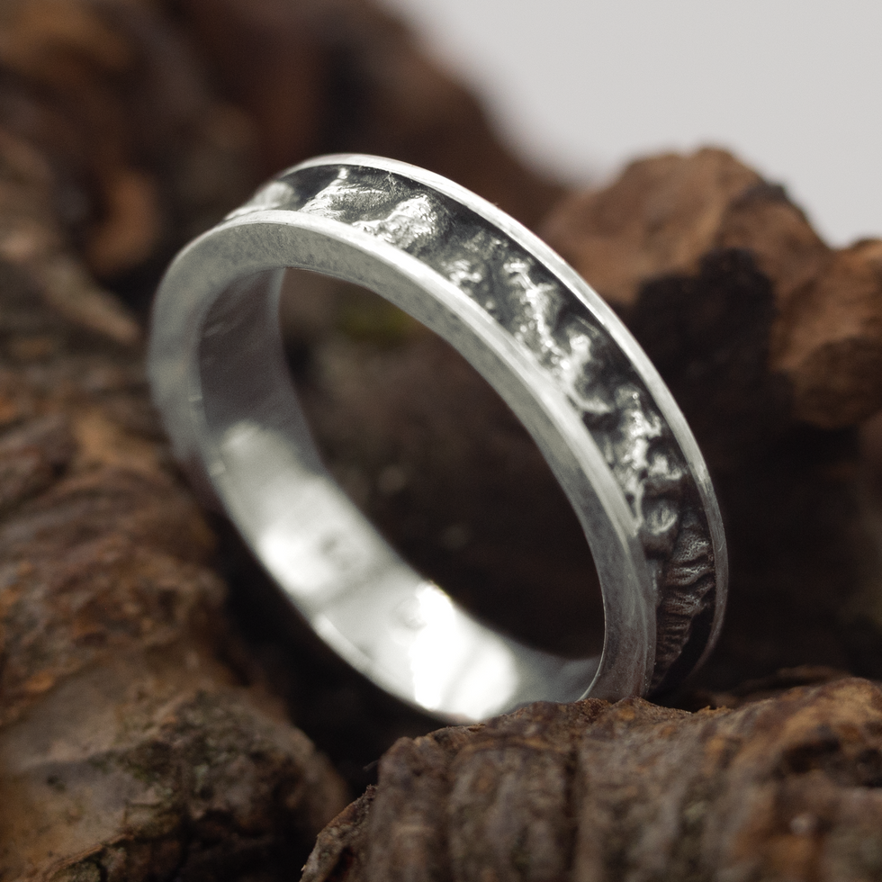 Alpline Ring in 925 Sterling Silver with blackened mountain detail – mood picture 1