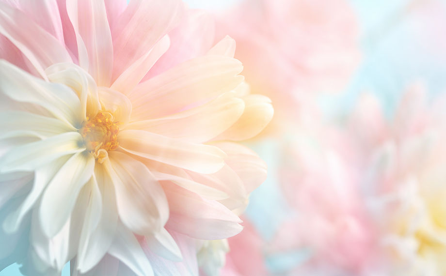 清水メンタルクリニック