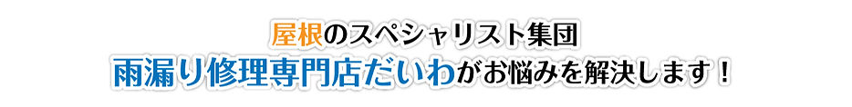 スペシャリスト
