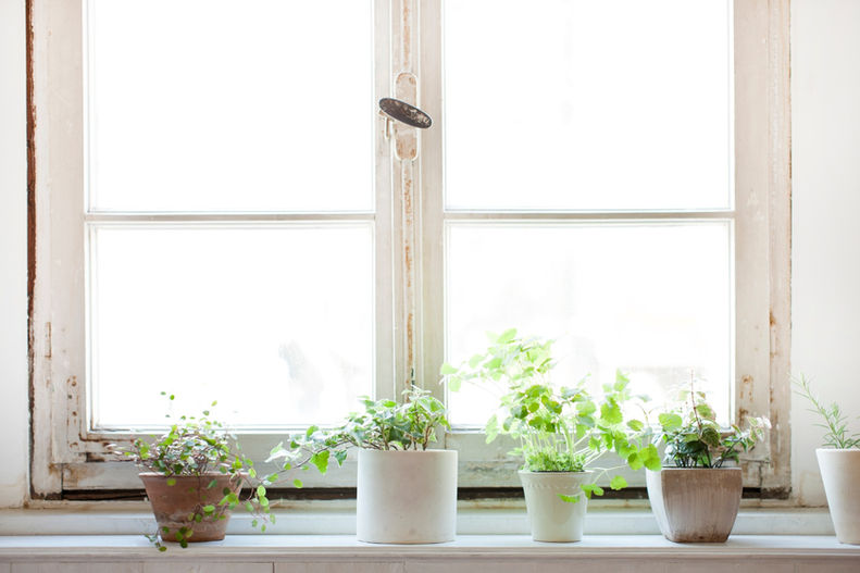 AdobeStock_38985902_edited.jpg