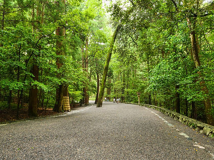 緑の参道