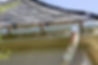 雨樋の