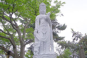 幅広いサービス内容