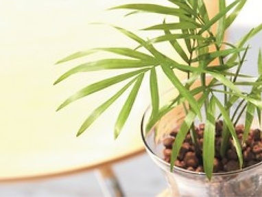 平日9:30~17:30・土曜9:30~12:30まで受付