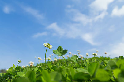 日高クリニック