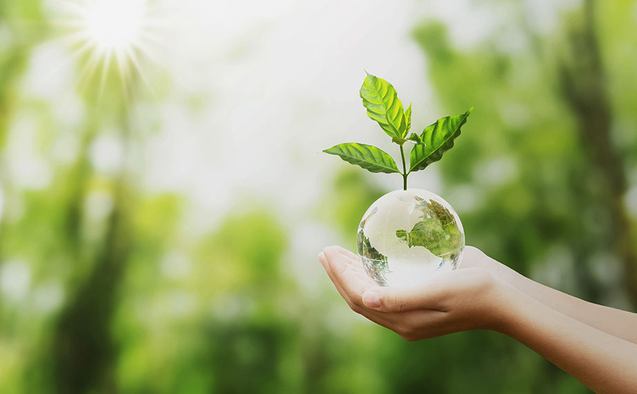 シティ環境株式会社