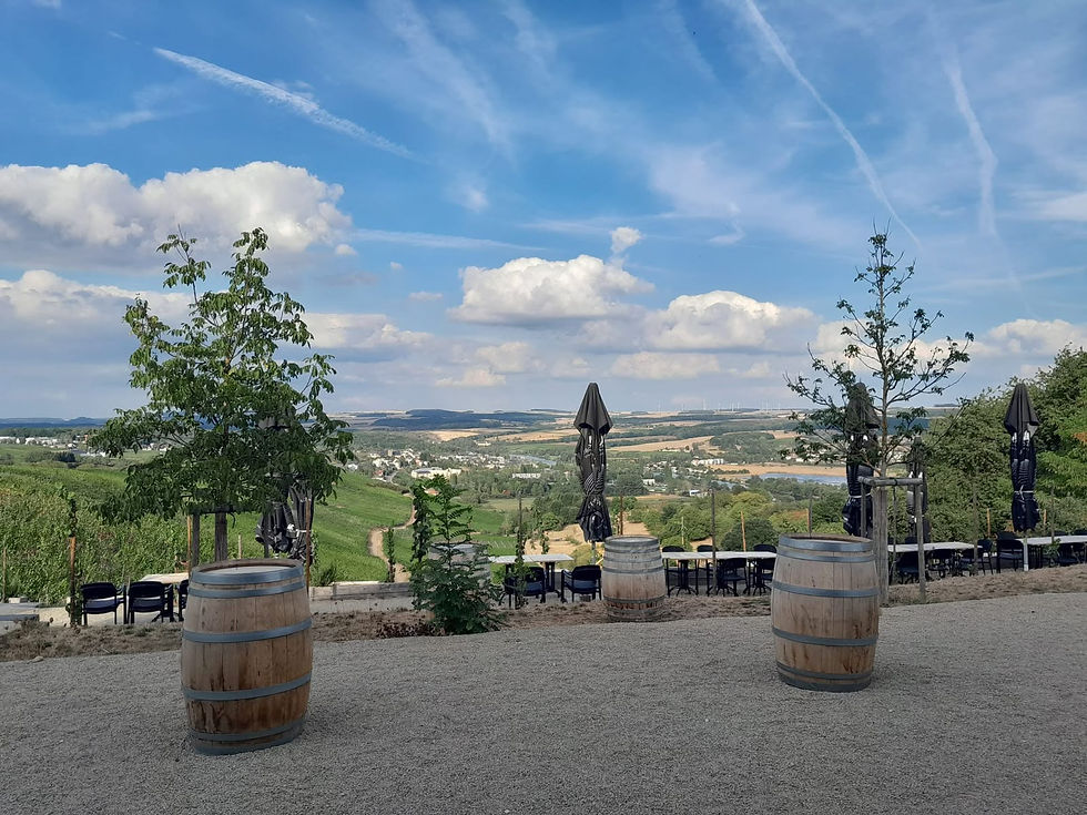 BARBECUE D'ÉTÉ - RÉSERVÉ AUX MEMBRES