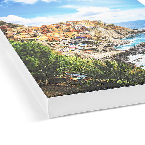 Gallery Wrap Canvas print
