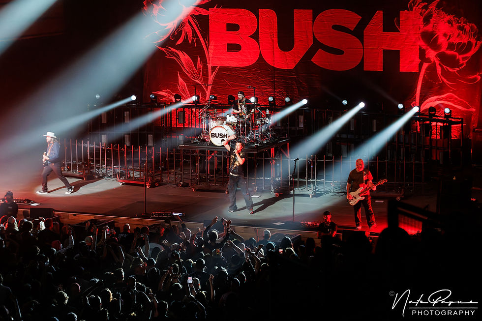 BUSH: The Land of Milk and Honey Tour | The Anthem | Washington, DC | Nate Payne Photography | 4.9.26
