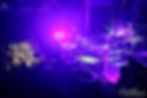 BUSH: The Land of Milk and Honey Tour | The Anthem | Washington, DC | Nate Payne Photography | 4.9.26