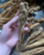 MASTER ROOT (DOUBLE) - Extremely Rare!! Love & Relationship Workings