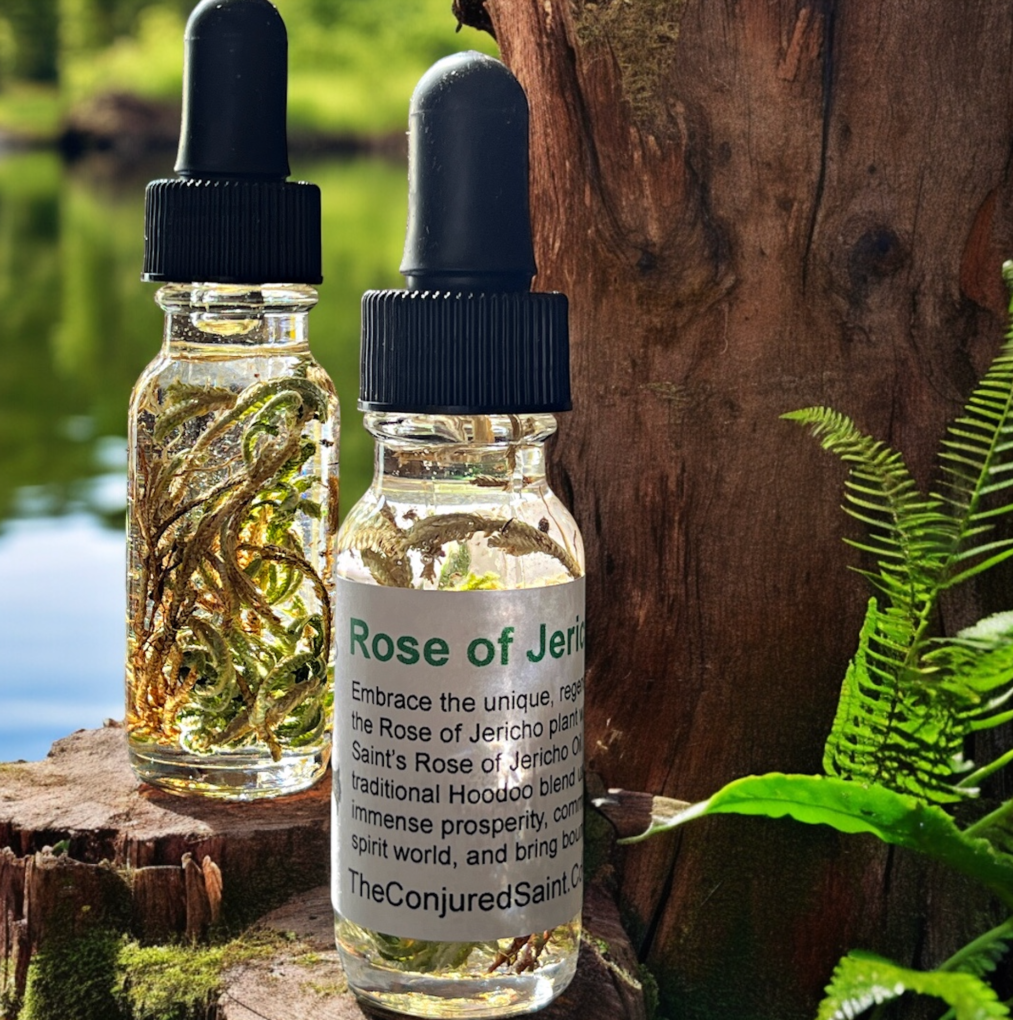 Rose of Jericho Oil- Peace, Blessings, Abundance, Healing, Protect