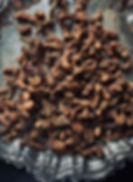 Galangal Root- Doubling Money, Sex Magick & Avoiding legal Problems
