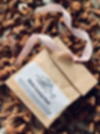 Galangal Root- Doubling Money, Sex Magick & Avoiding legal Problems