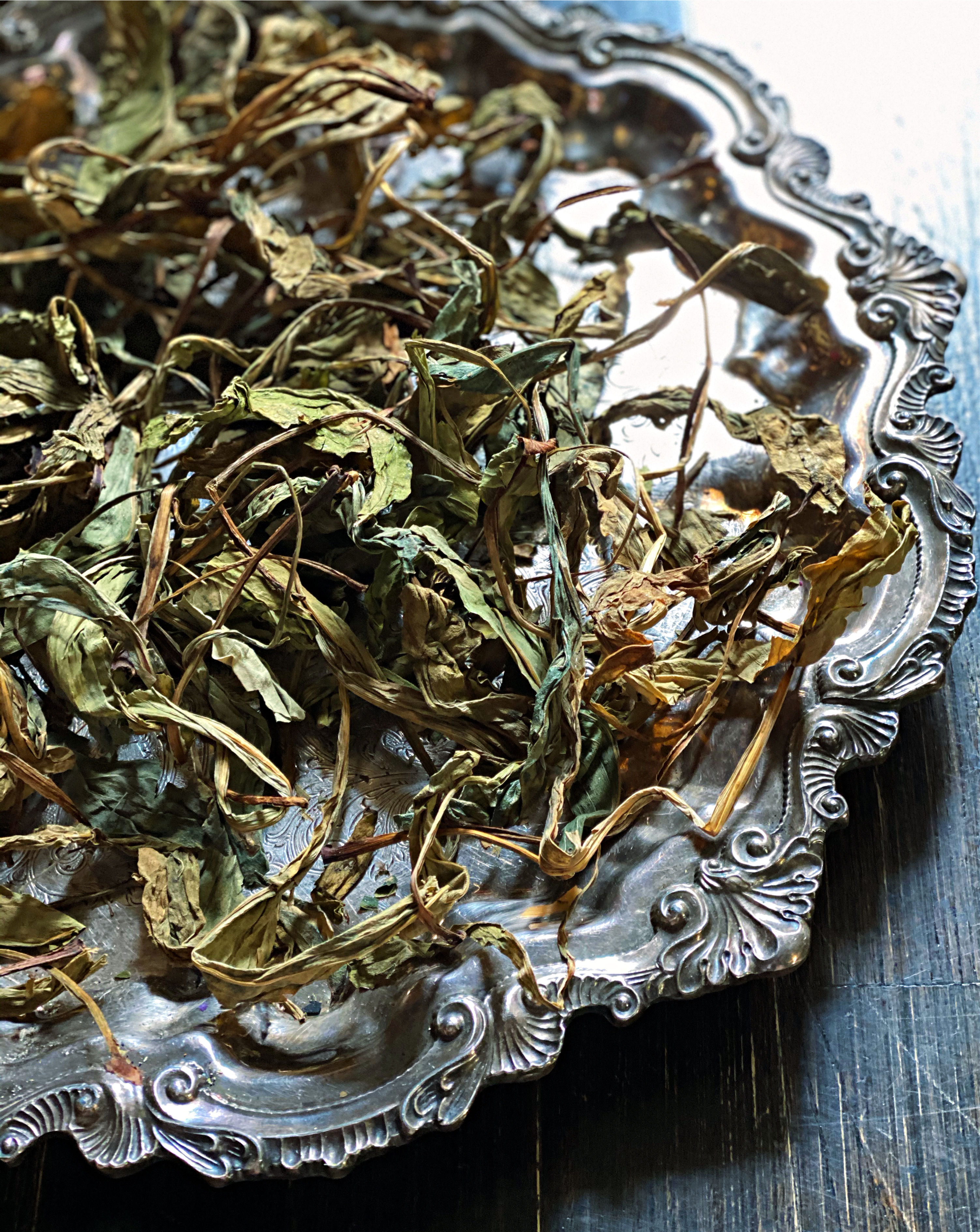 Deer's Tongue Cuts - Attracting a Love Interest and Opening Psychic Powers.