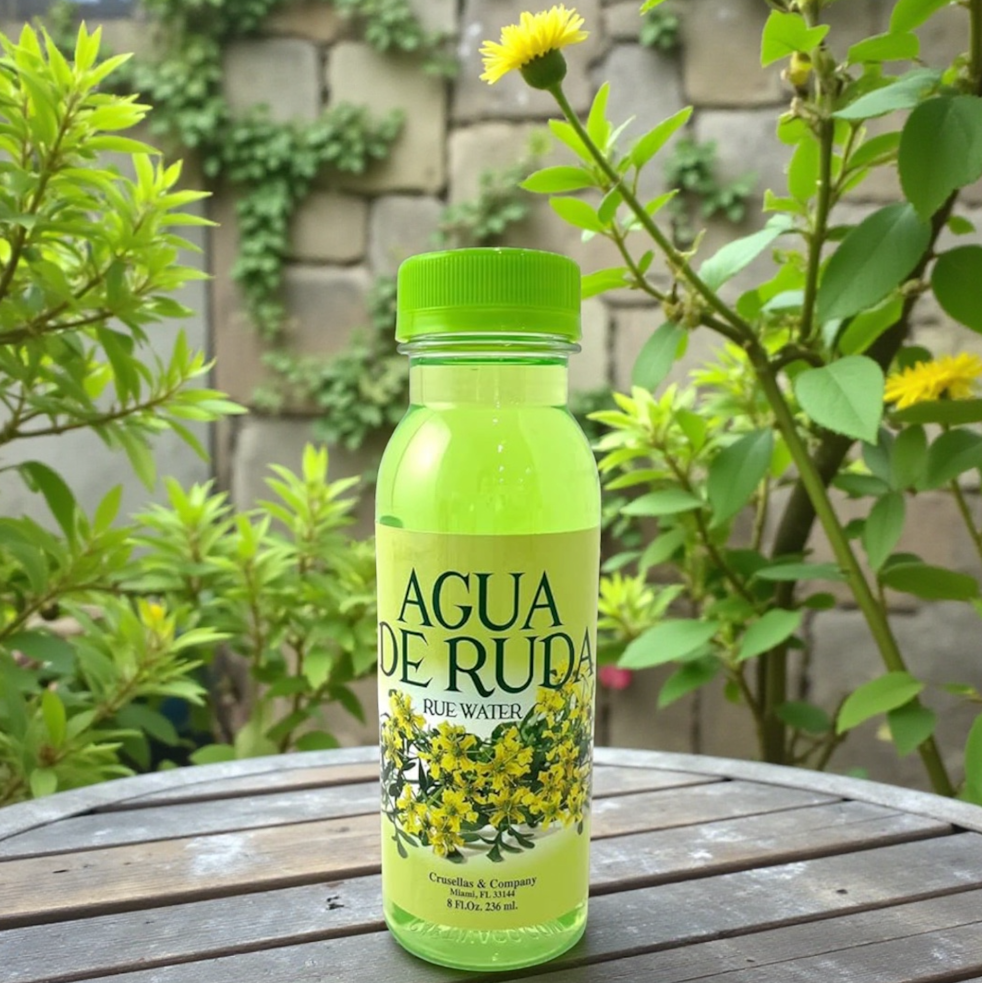 Rue (Ruda) Water 8oz - For Protection, Wealth and Good Luck.