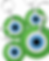 Green Glass Evil Eye Money Protection Key Chain- As You Prosper & Achieve Wealth