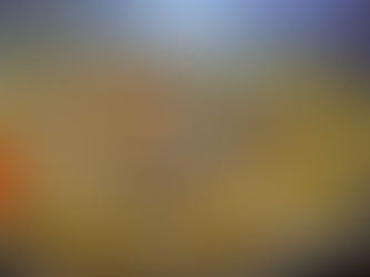 বড়ি - পোস্তো