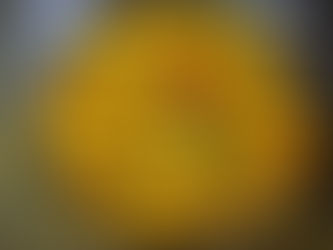 সর্ষে - মাখায় - মৌরালা - মাছ 