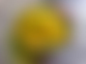 ধনেপাতা - চিংড়ি - লাউ 